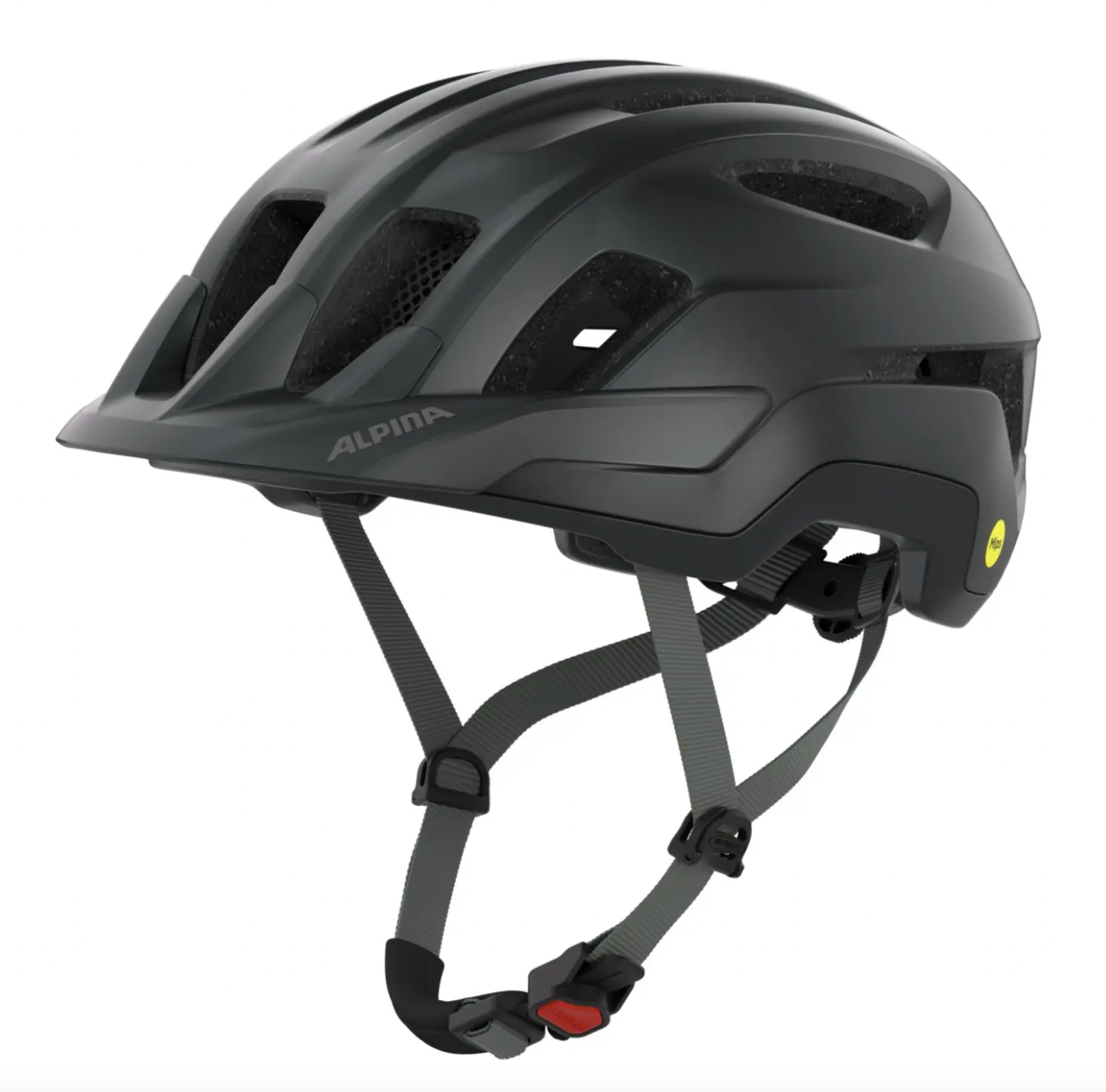 Alpina PARANUS MIPS Black