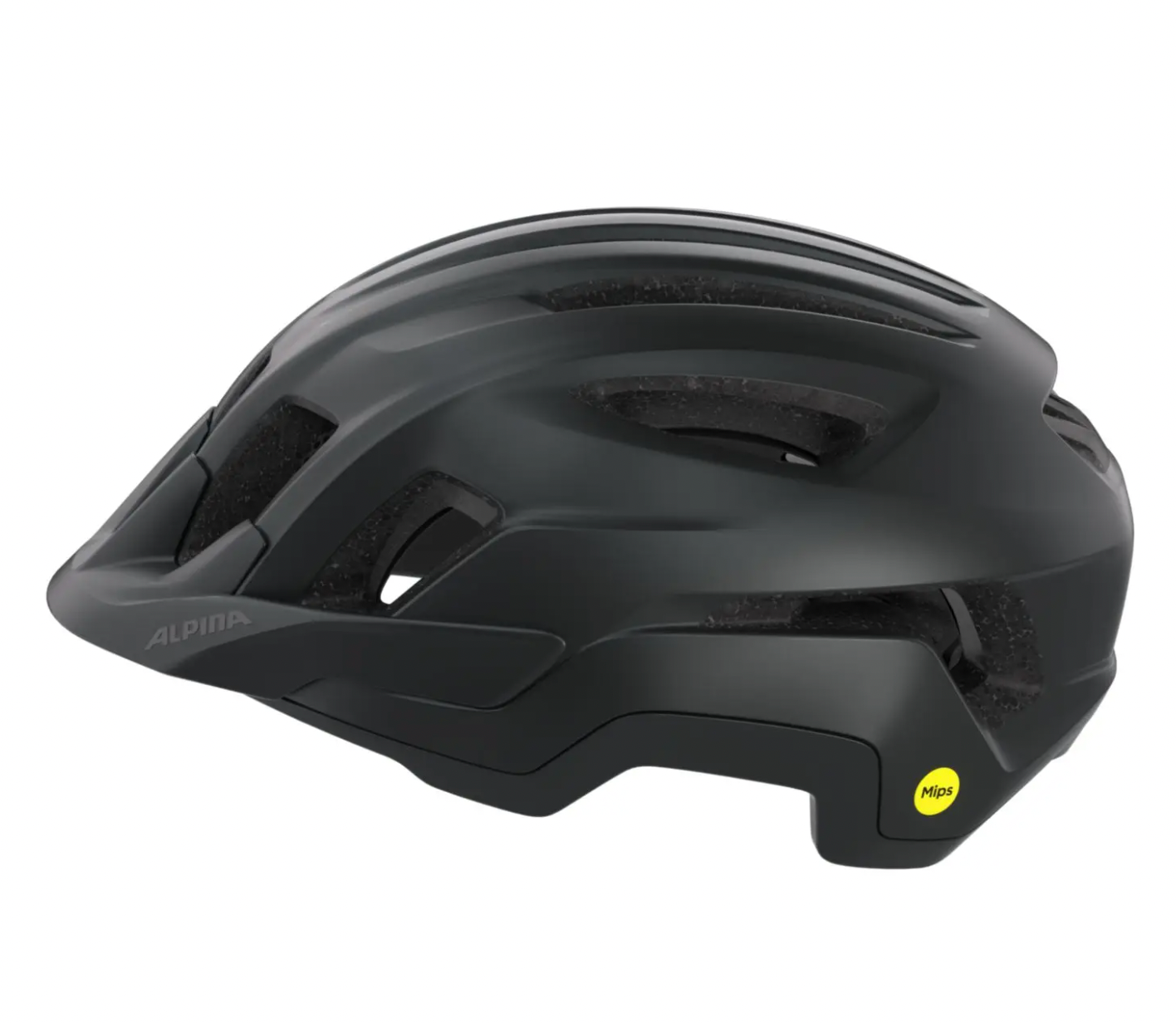 Alpina PARANUS MIPS Black