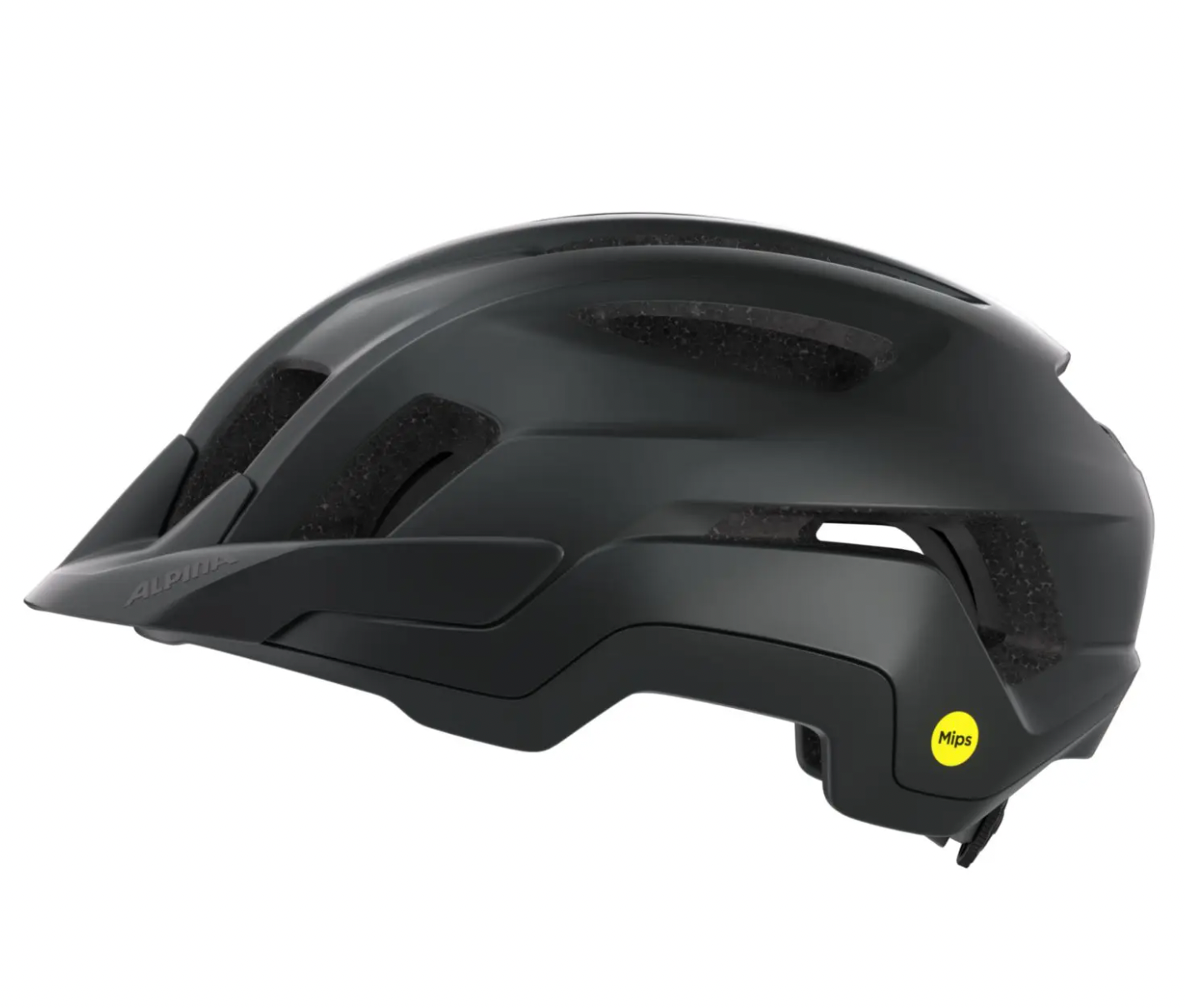 Alpina PARANUS MIPS Black