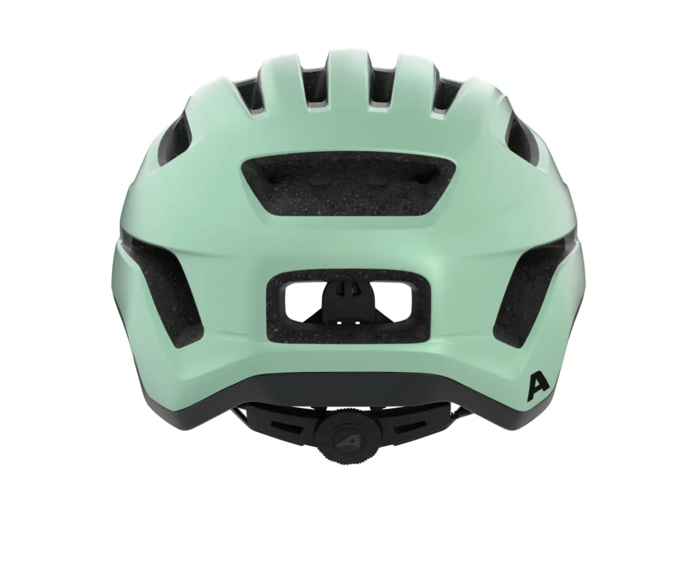 Alpina PARANUS Pastel Green Matt