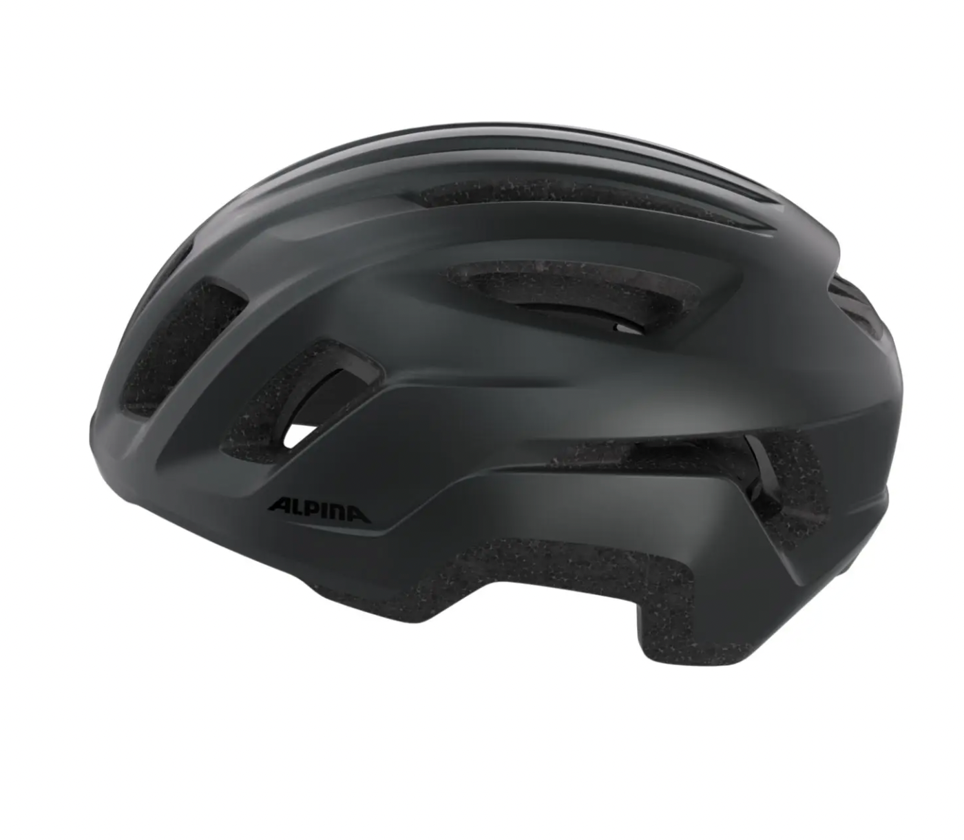 Alpina PARANUS URBAN Black