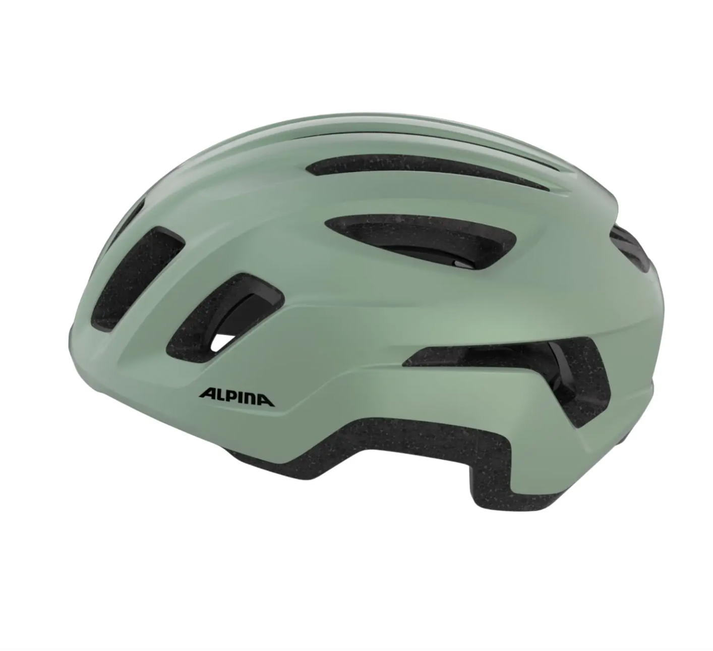 Alpina PARANUS URBAN Willow Green Matt