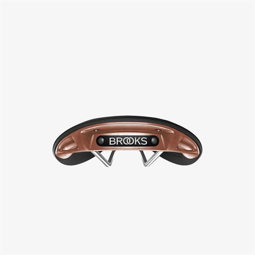 Brooks Cambium C17