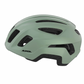 Alpina PARANUS URBAN Willow Green Matt